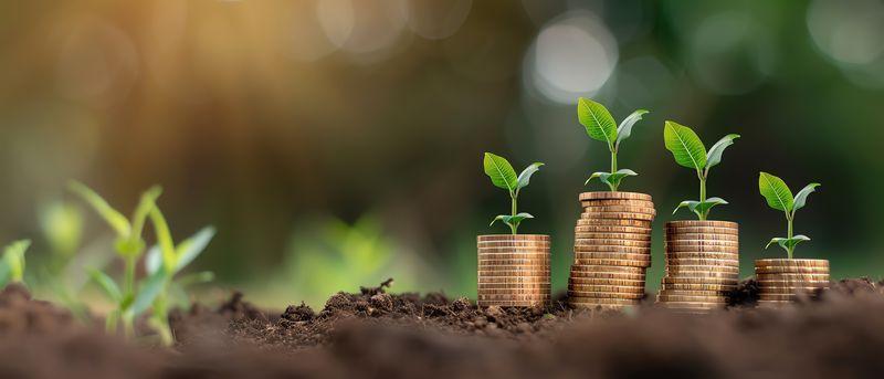 Understanding Private Equity Valuations: Key Metrics and Methods post image